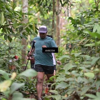 Runner Photo 7401754