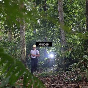 Runner Photo 7402508