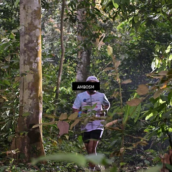 Runner Photo 7402998