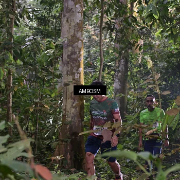 Runner Photo 7403004