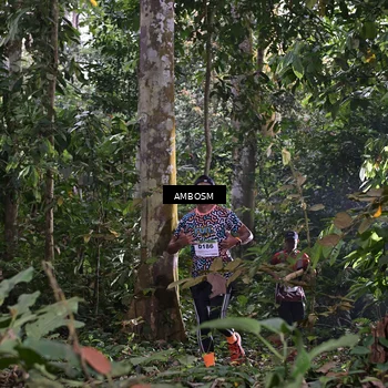 Runner Photo 7403052