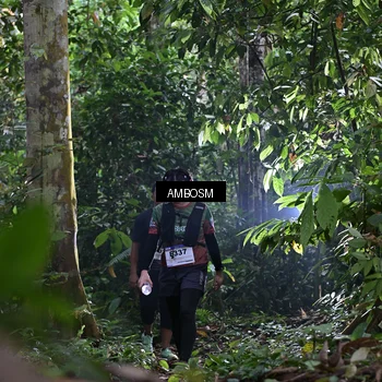 Runner Photo 7404016