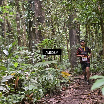 Runner Photo 7407792