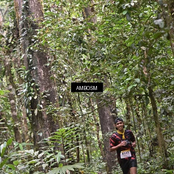 Runner Photo 7407793