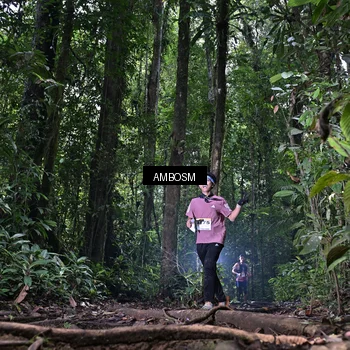 Runner Photo 7408934