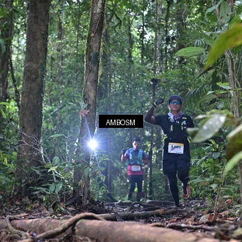 Runner Photo 7409587