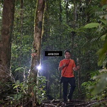 Runner Photo 7411405