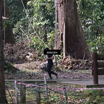 Runner Photo 7412636