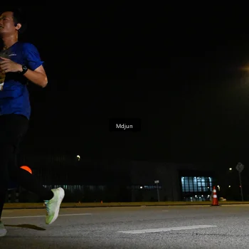 Runner Photo 7417830