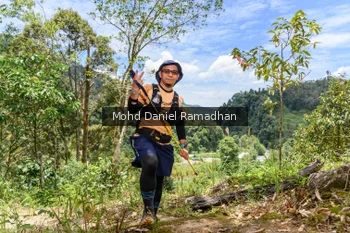 Runner Photo 74212