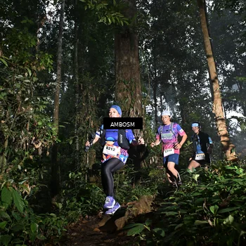 Runner Photo 7428196