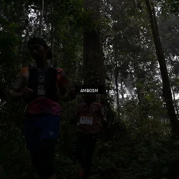 Runner Photo 7428673