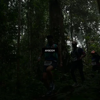 Runner Photo 7428887