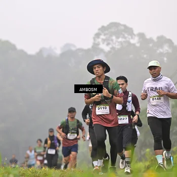 Runner Photo 7429550