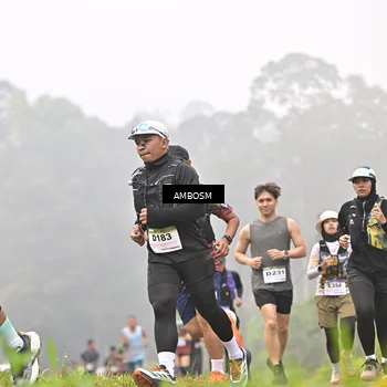Runner Photo 7429570
