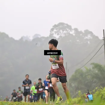 Runner Photo 7429685