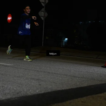 Runner Photo 7431914