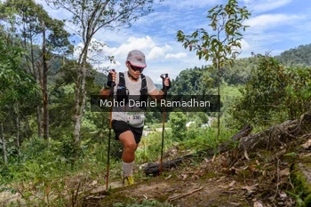 Runner Photo 74391