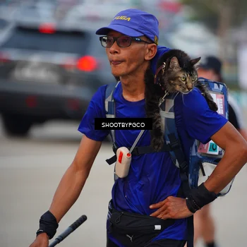Runner Photo 7447400