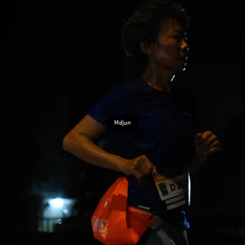 Runner Photo 7455247
