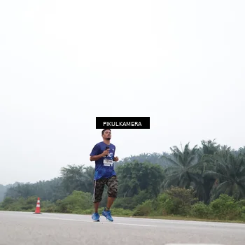 Runner Photo 7462012