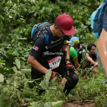 Runner Photo 74629