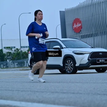 Runner Photo 7463671