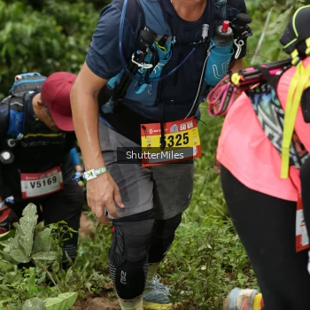 Runner Photo 74640