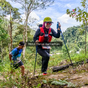 Runner Photo 74646