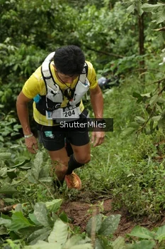 Runner Photo 74719