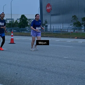 Runner Photo 7473402