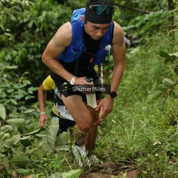 Runner Photo 74735