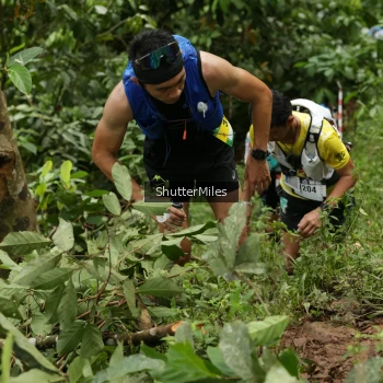 Runner Photo 74741