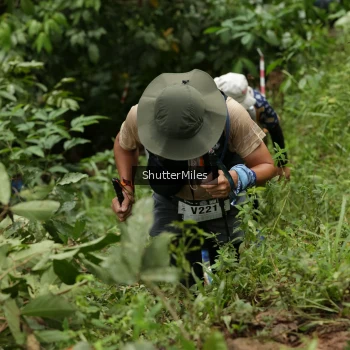 Runner Photo 74784