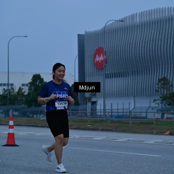 Runner Photo 7480298