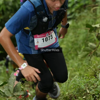 Runner Photo 74804