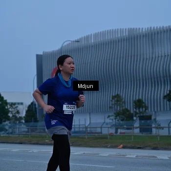 Runner Photo 7480498