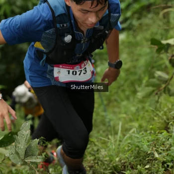 Runner Photo 74808