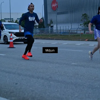Runner Photo 7480878