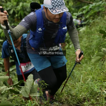 Runner Photo 74829