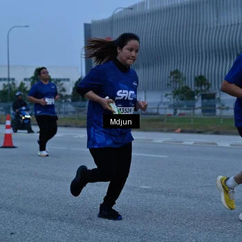 Runner Photo 7483511