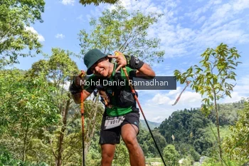 Runner Photo 74887