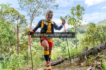 Runner Photo 74944