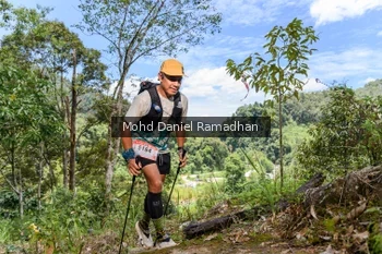 Runner Photo 74954