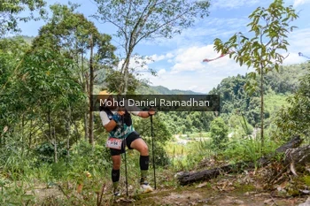 Runner Photo 74959