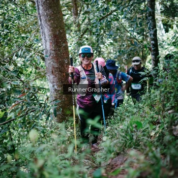 Runner Photo 74978