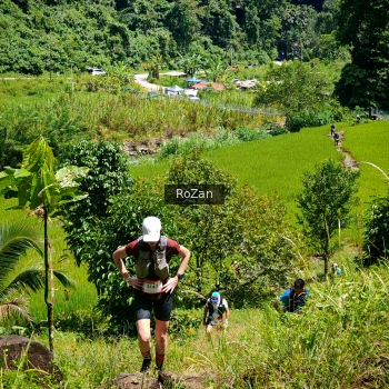 Runner Photo 75064