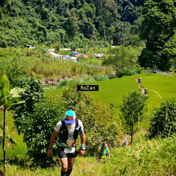 Runner Photo 75115