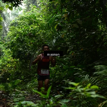 Runner Photo 7522536
