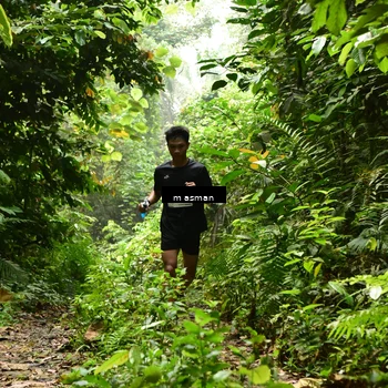 Runner Photo 7522579